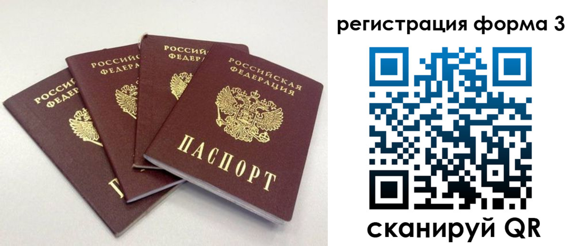 прописка 2025 в Гаврилов-Яме